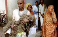 Inde :57 enfants meurent en consommant un fruit