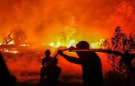 Plus d'un millier de pompiers luttent contre les incendies de forêt au Portugal