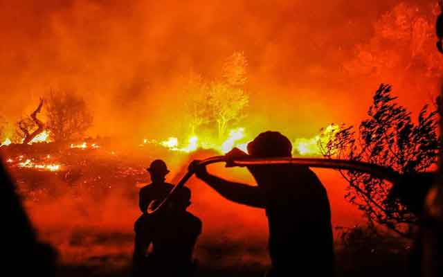 Plus d'un millier de pompiers luttent contre les incendies de forêt au Portugal