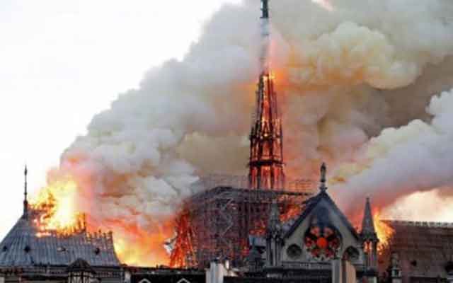 « Robin des bois » porte plainte contre Notre Dame de Paris