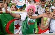CAN 2019 : 5000 algériens transportés en Égypte pour encourager les Verts