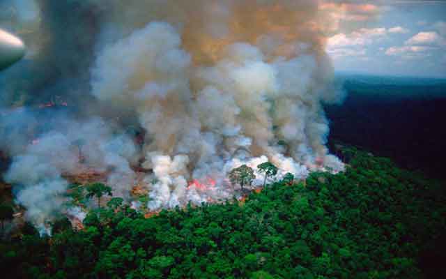 Une crise diplomatique entre la France et le Brésil à cause des incendies en Amazonie