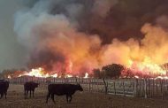 L'Amazonie fait face à des dangers au-delà des incendies