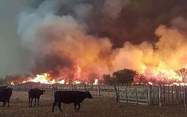 L'Amazonie fait face à des dangers au-delà des incendies