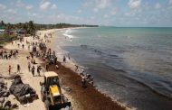 Un navire grec peut-être responsable de la marée noire sur les plages du Brésil