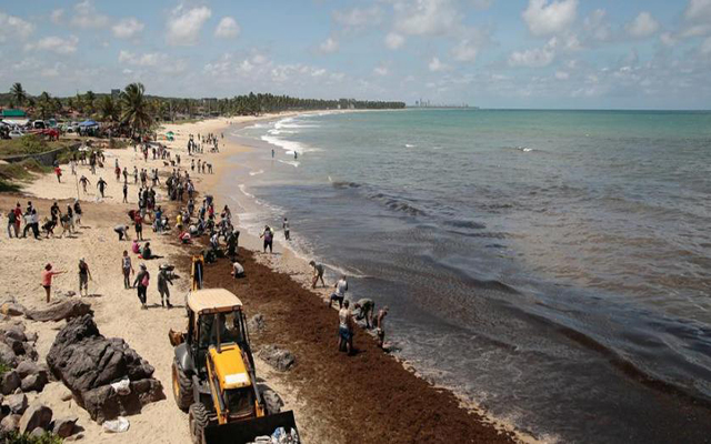 Un navire grec peut-être responsable de la marée noire sur les plages du Brésil