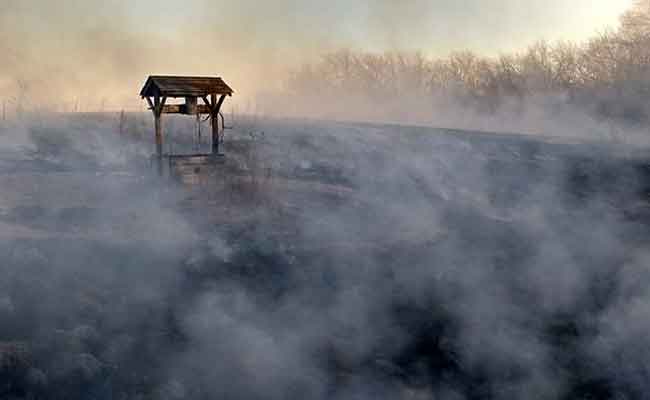 On a retrouvé une structure en bois de plus de 7 000 ans