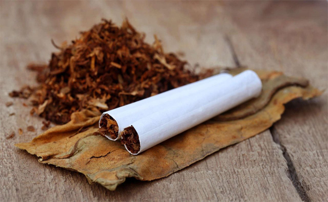 Plus de 58 tonnes de tabac à chiquer saisis à Oran