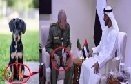 Après les défaites successives de Haftar, Ben Zayed menace Chengriha de révéler le sort des armes de destruction massive de Kadhafi
