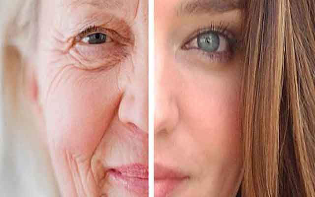 Des aliments qui combattent le vieillissement