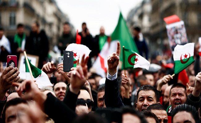 La seule solution en Algérie est de couper la tête du serpent et de ne pas le laisser faire sa mue