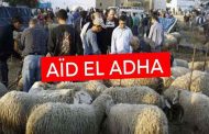 COVID-19 : un nouveau record de nombre de contaminations avant l'Aïd al Adha en Algérie