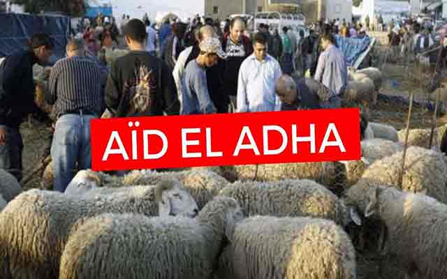 COVID-19 : un nouveau record de nombre de contaminations avant l'Aïd al Adha en Algérie