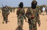 Des bandits armés tuent 23 soldats nigérians à Katsina