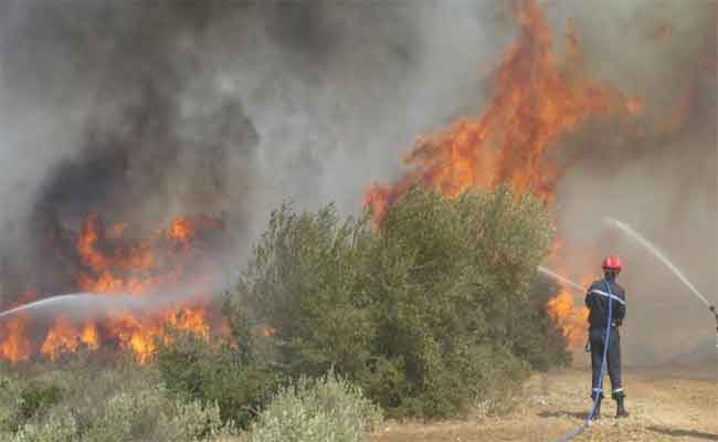 Incendie à Beni-Slimane : un mineur placé en détention provisoire et son complice sous contrôle judiciaire