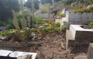 Alger : Près de 12 tombes vandalisées au cimetière d'El Kettar