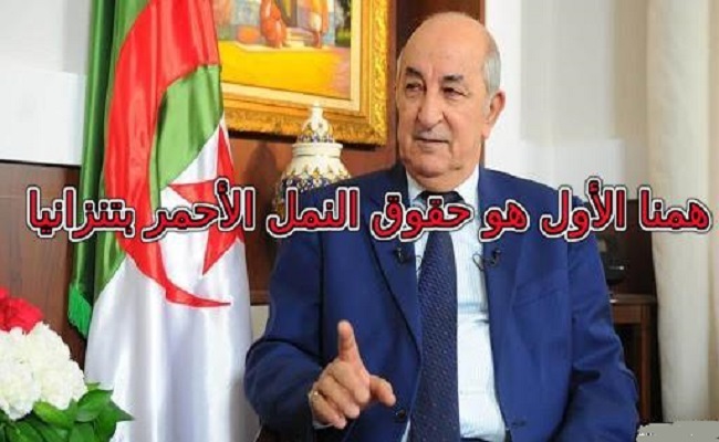 L’Algérie s’étouffe tandis que, le président Tebboune déclare qu’il veut résoudre les problèmes de la Libye et du Mali