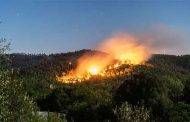 Feux de forêt d’Oued Goussine à Chlef : 5 personnes placées en détention préventive à Chlef