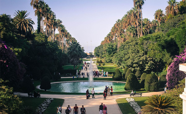 Alger : Le jardin d’essai du Hamma accueille ses premiers visiteurs ce mercredi