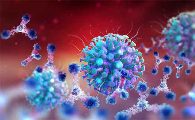 Un septuagénaire décède suite à une infection par le variant anglais du coronavirus