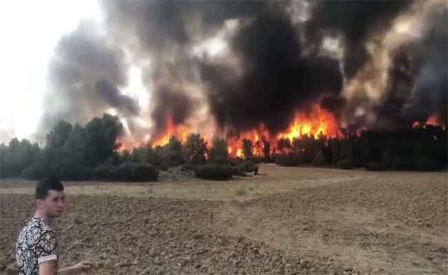 Arrestation de 3 individus suspectés d’être impliqués dans les incendies de Khenchela