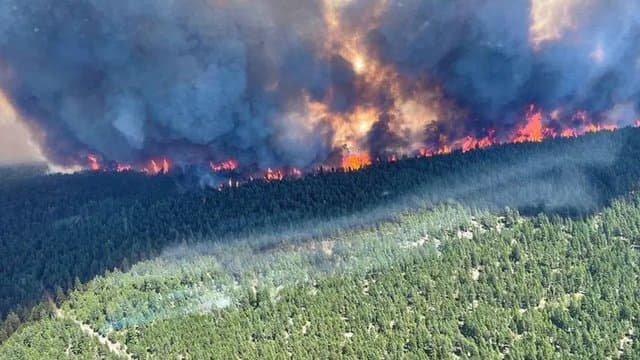 L'armée canadienne fournira un soutien aérien alors que la Colombie-Britannique lutte contre les incendies de forêt