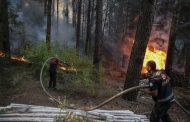 Turquie: les incendies de forêt font plusieurs morts et blessés