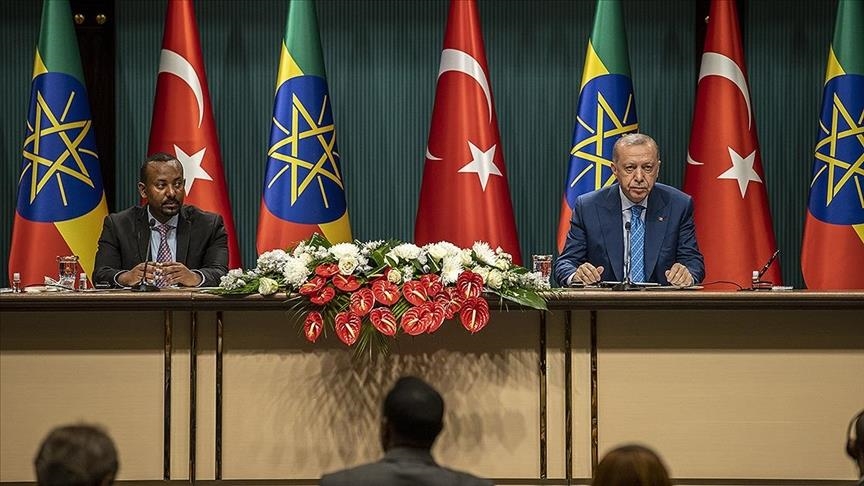 Erdoğan est disposé à servir de médiateur pour une résolution pacifique du conflit du Tigré en Éthiopie