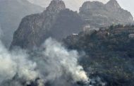 Protection civile : Extinction de 27 feux de forêts dans 12 wilayas en 24H