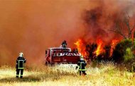 Les feux de forêts à Tizi-Ouzou et Sétif font six morts