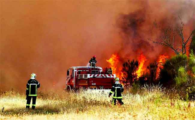 Les feux de forêts à Tizi-Ouzou et Sétif font six morts