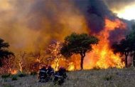 Incendies de forêts en Kabylie : Six suspects déférés au tribunal Sidi M’hamed