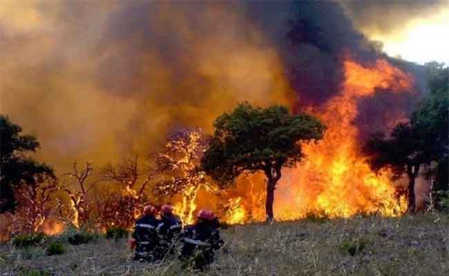 Incendies de forêts en Kabylie : Six suspects déférés au tribunal Sidi M’hamed