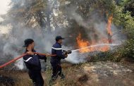 Feux de forêts à Sétif : Nouvel incendie à Dehamcha fait deux morts