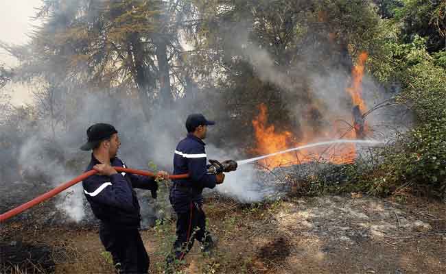 Feux de forêts à Sétif : Nouvel incendie à Dehamcha fait deux morts