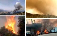Extinction de 18 feux de forêts à Jijel