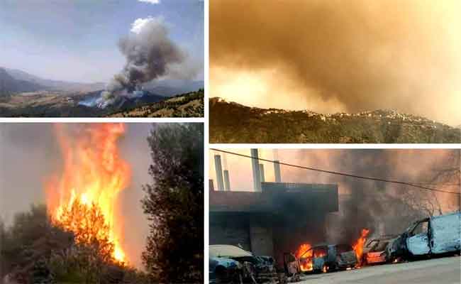 Huit blessés des feux de forêts en Kabylie transférés vers un hôpital spécialisé en Turquie