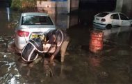 Inondations meurtrières : La wilaya d’Alger déplore trois morts et plusieurs dégâts matériels