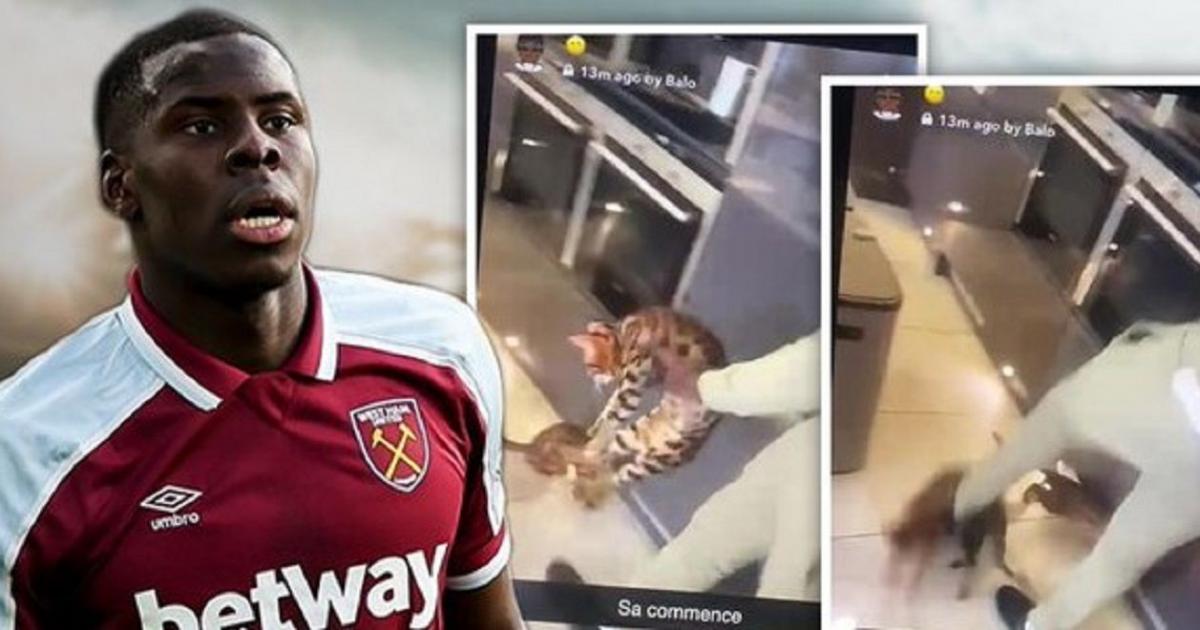West Ham condamne le défenseur Kurt Zouma à cause de son chat