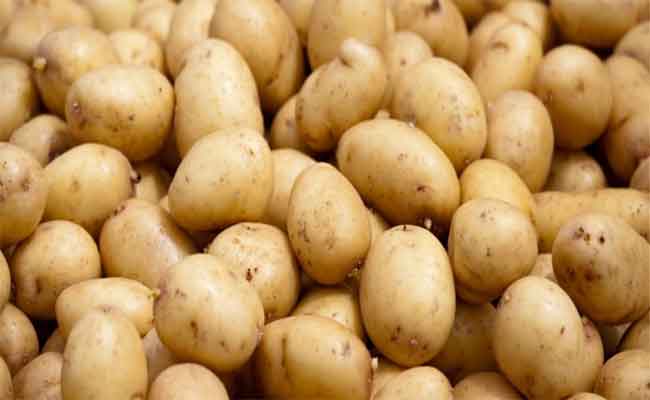 GN: Pas moins de 800 qx de pommes de terre stockées à des fins de spéculation saisies à Mila