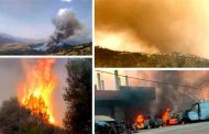 Lancement de l’opération d’indemnisation des aviculteurs victimes des incendies de l’été 2021 à Tizi Ouzou