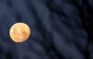 Une Eclipse totale de la lune dans la nuit du 15 au 16 mai observable depuis l’Algérie, selon CRAAG