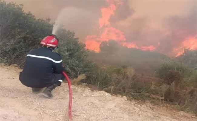 Deux personnes trouvent la mort dans les feux de forêts à Skikda en 24h