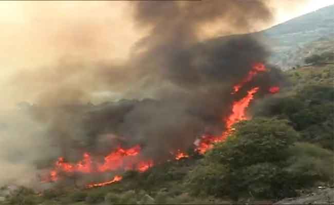 Installation d’une commission de recensement des dégâts causés par les derniers incendies d’El-Tarf