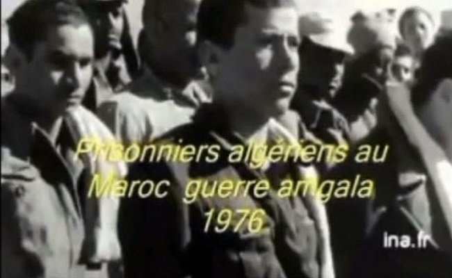 Général Chengriha, pour une fois dans ta vie sois un homme, déclare la guerre au Maroc et venge ton honneur