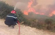 Feux de forêts à El Tarf : Plusieurs tonnes d’aides humanitaires acheminés vers les zones sinistrées