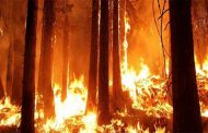 Les incendies maîtrisés en Algérie, selon la protection civile