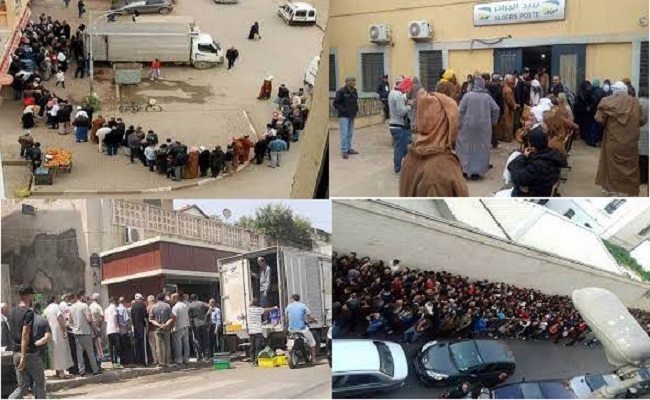 Au comble de l'humiliation et de l'humiliation, la plus longue file d'attente de l'histoire humaine pour la semoule en Algérie
