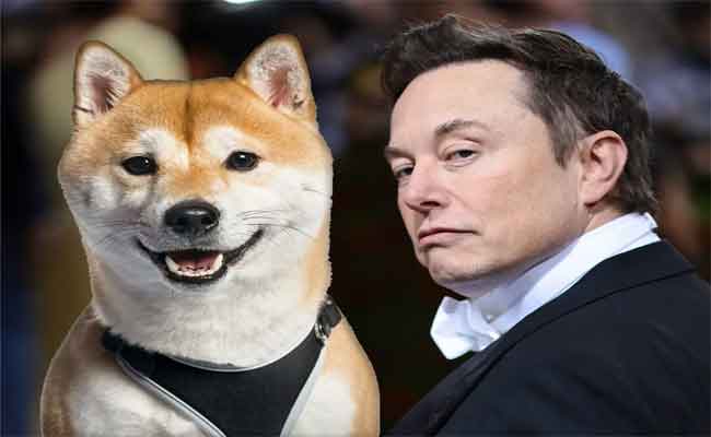 Elon Musk « mon chien est le PDG de Twitter»