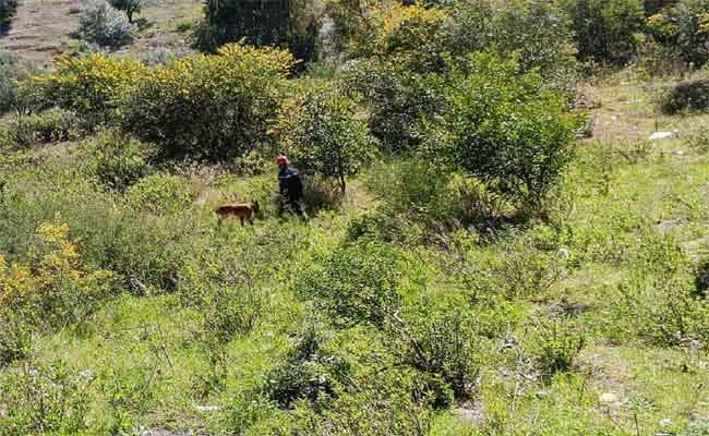 Drame à Chlef : l’enfant porté disparu découvert pendu dans une forêt à Ténès